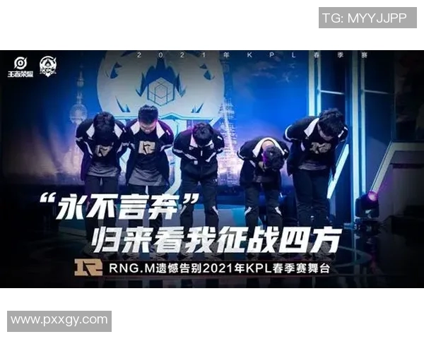 王者荣耀战术解析：RNG团队协作与整体压制体系的深度剖析