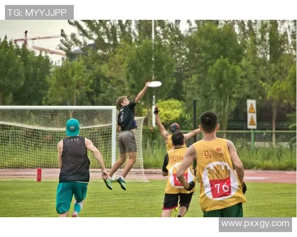 飞盘运动心理素质全解析从入门到精通的心态培养与技巧提升 飞盘运动心理素质全解析从入门到精通的心态培养与技巧提升