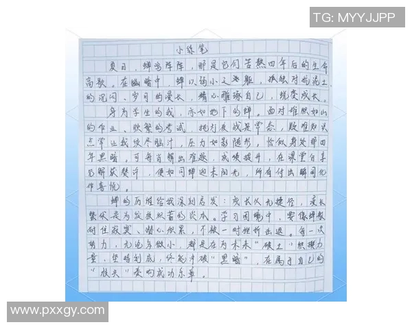 南京乒乓球队转型之路的纪实与反思探索新阶段的成长与挑战 南京乒乓球队转型之路的纪实与反思探索新阶段的成长与挑战