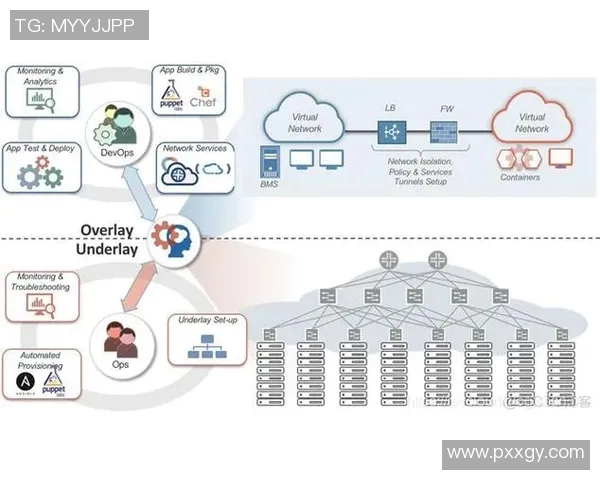 广州羽毛球队耐力表现的数据分析与训练策略探讨