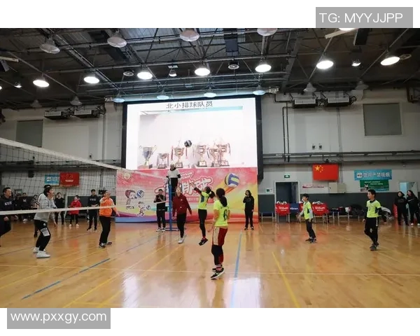 上海排球队的比赛经验揭秘：从训练到赛场的全方位探索