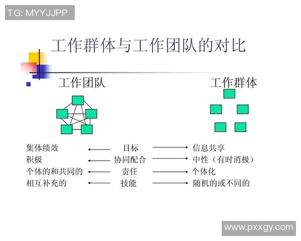 南京排球队的精神风貌与团队意识探讨:排球运动中的凝聚力与协作力分析 南京排球队的精神风貌与团队意识探讨:排球运动中的凝聚力与协作力分析
