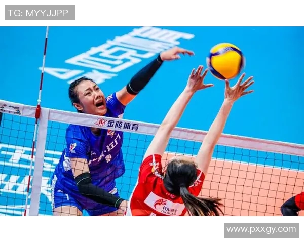 广州排球队的转型之路与未来发展趋势深度解析