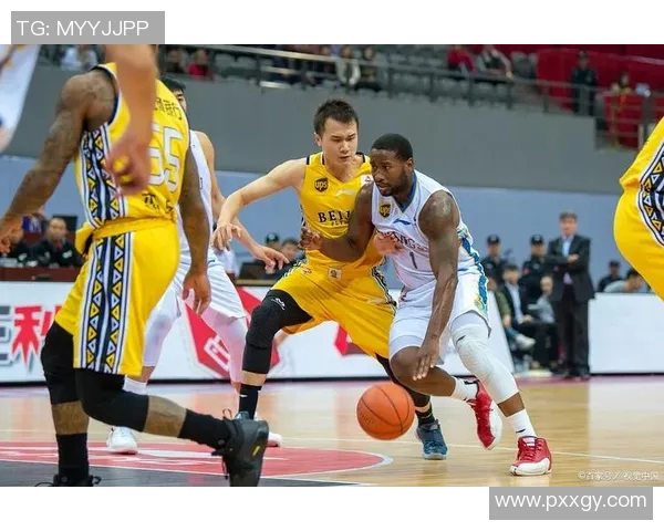 杭州排球队状态引发热议球迷对球队表现分歧明显