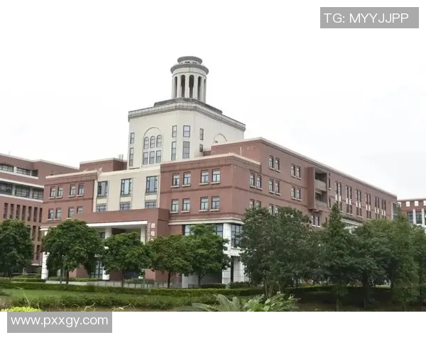 上海排球队心理素质深度对比分析及其对比赛表现的影响探讨