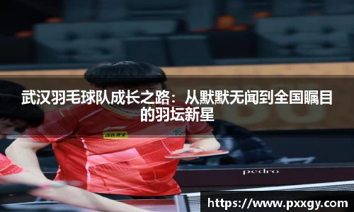 米兰体育官方网站